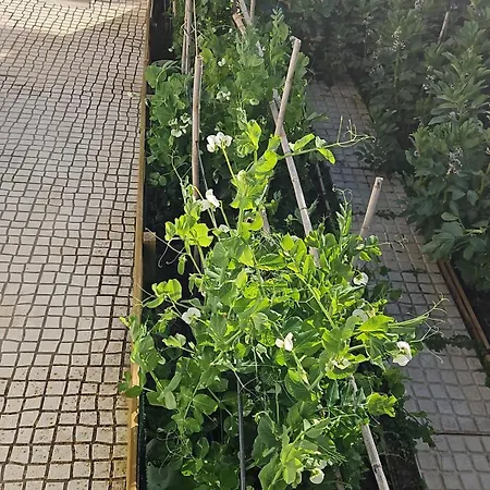 Casa Do Aconchego Em Ferienhaus Freiria