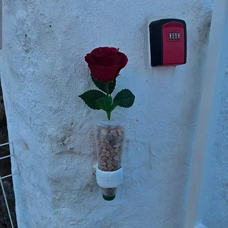 Casa Do Aconchego Em *