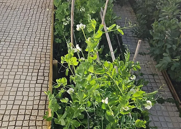 Casa Do Aconchego Em Nyaraló Freiria