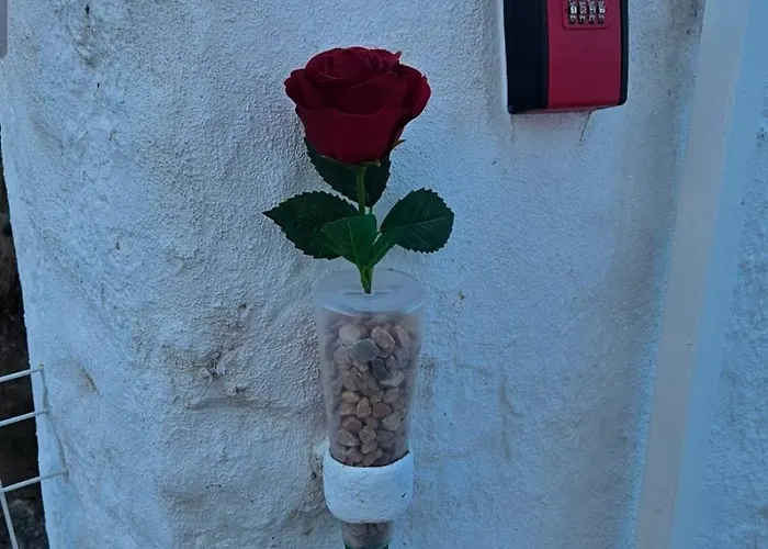 Casa Do Aconchego Em *